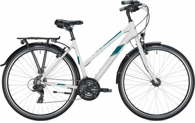 MORRISON 23 T 1.0 Trapez 48cm | white petrol