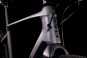morepic-6
